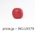 真っ赤に完熟したサンふじリンゴ（品種ふじ） 96119379