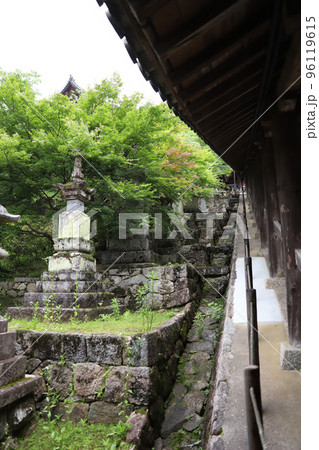長谷寺　奈良県 96119615