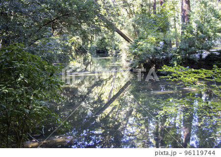伊勢神宮 外宮 池 伊勢神宮 外宮 池 96119744