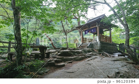 夏の五龍王神社 夏の五龍王神社 96120394