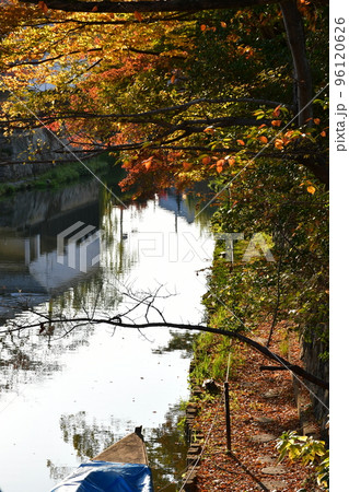 秋の八幡堀　水路のある風景 96120626