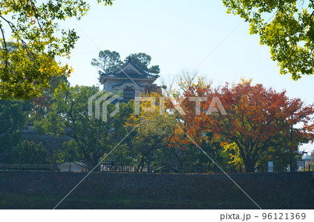 【日本100名城】岡山城月見櫓と紅葉 岡山県岡山市北区 【日本100名城】岡山城月見櫓と紅葉 岡山県岡山市北区 96121369