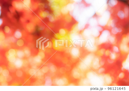 背景素材・紅葉グラデーション　玉ボケ、丸ボケ、ボケ表現 96121645
