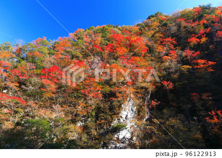 【高知県】最盛期のべふ峡の紅葉 【高知県】最盛期のべふ峡の紅葉 96122913
