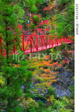 【高知県】最盛期のべふ峡の紅葉と赤い吊り橋 96122920