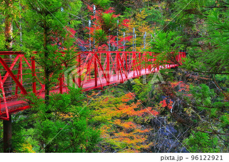 【高知県】最盛期のべふ峡の紅葉と赤い吊り橋 96122921