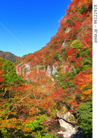 【高知県】最盛期のべふ峡の紅葉 【高知県】最盛期のべふ峡の紅葉 96122928