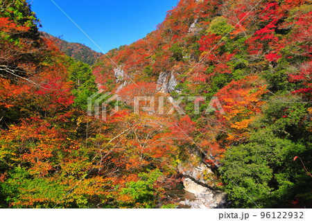 【高知県】最盛期のべふ峡の紅葉 96122932