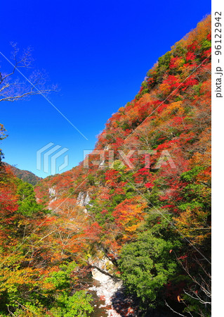 【高知県】最盛期のべふ峡の紅葉 96122942