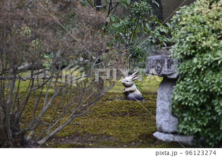聖護院門跡 庭園(うさぎ) 聖護院門跡 庭園(うさぎ) 96123274