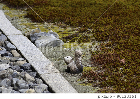 聖護院門跡 庭園(リス) 聖護院門跡 庭園(リス) 96123361