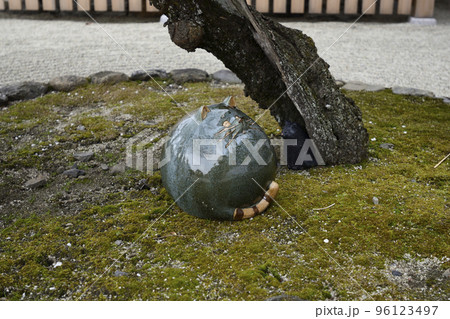 聖護院門跡 庭園(ねこ) 聖護院門跡 庭園(ねこ) 96123497