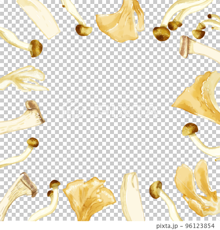 Hand-painted watercolor three kinds of mushroom illustration square frame 96123854