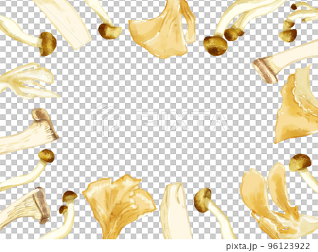 Hand-painted watercolor three kinds of mushroom illustration rectangular frame and enclosure 96123922