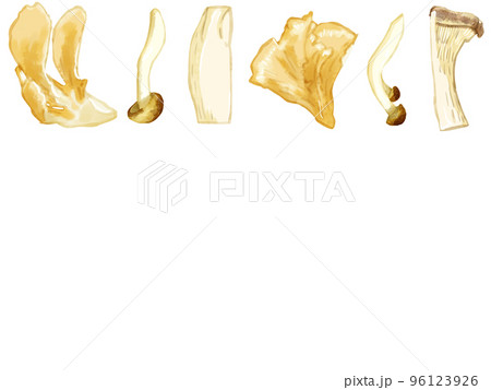 手描き水彩の三種のキノコイラスト長方形フレーム・上 手描き水彩の三種のキノコイラスト長方形フレーム・上 96123926