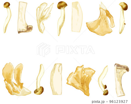 手描き水彩の三種のキノコイラスト長方形フレーム・上下 96123927