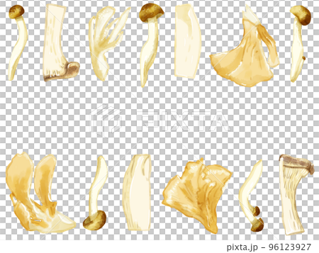 手描き水彩の三種のキノコイラスト長方形フレーム・上下 96123927