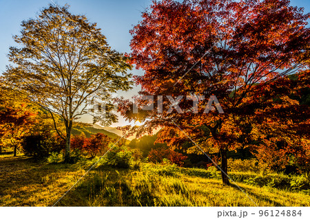 もみじ湖（箕輪ダム）で撮影した紅葉のある風景 96124884