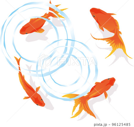 上から見た金魚と波紋のイメージイラスト 96125485