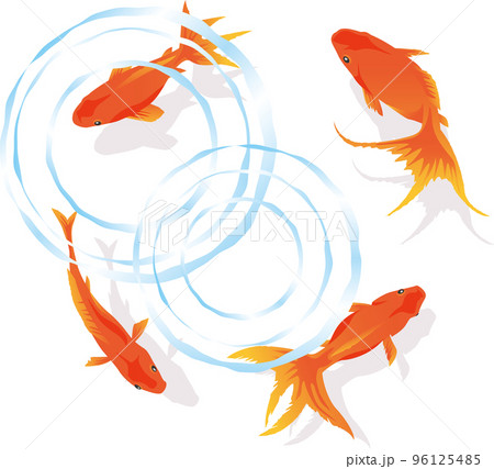 上から見た金魚と波紋のイメージイラスト 上から見た金魚と波紋のイメージイラスト 96125485