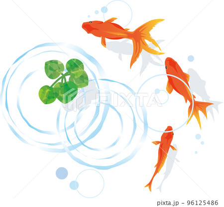上から見た金魚と波紋のイメージイラスト（葉っぱあり） 96125486