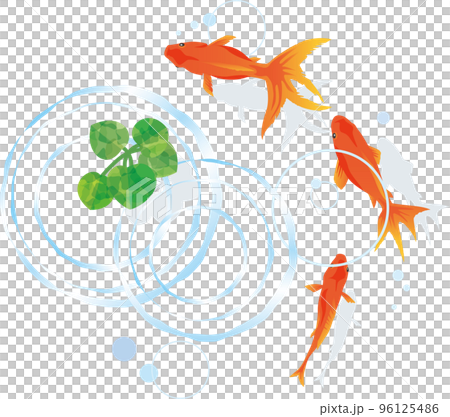 上から見た金魚と波紋のイメージイラスト（葉っぱあり） 96125486