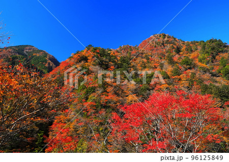 【徳島県】最盛期の高の瀬峡の紅葉 【徳島県】最盛期の高の瀬峡の紅葉 96125849