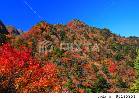 【徳島県】最盛期の高の瀬峡の紅葉 96125851