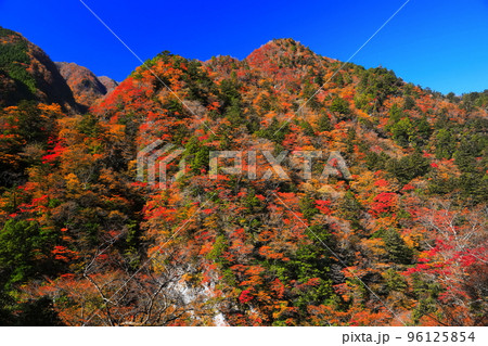 【徳島県】最盛期の高の瀬峡の紅葉 【徳島県】最盛期の高の瀬峡の紅葉 96125854
