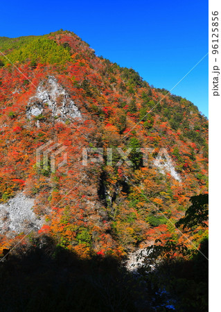 【徳島県】最盛期の高の瀬峡の紅葉 【徳島県】最盛期の高の瀬峡の紅葉 96125856
