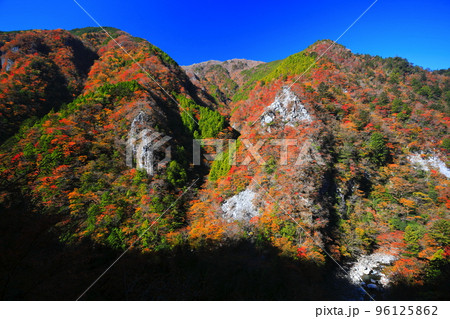 【徳島県】最盛期の高の瀬峡の紅葉 【徳島県】最盛期の高の瀬峡の紅葉 96125862