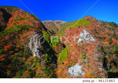 【徳島県】最盛期の高の瀬峡の紅葉 96125863