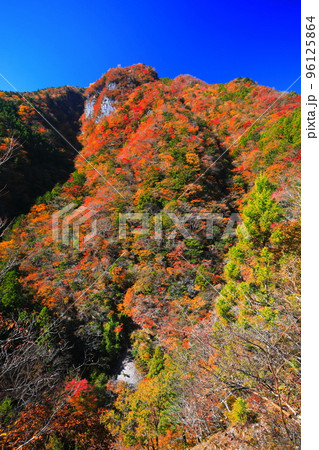 【徳島県】最盛期の高の瀬峡の紅葉 【徳島県】最盛期の高の瀬峡の紅葉 96125864