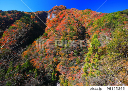 【徳島県】最盛期の高の瀬峡の紅葉 96125866