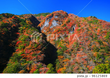 【徳島県】最盛期の高の瀬峡の紅葉 96125869