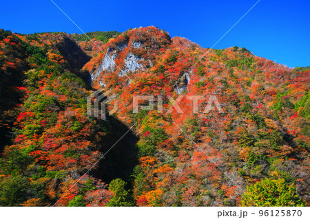 【徳島県】最盛期の高の瀬峡の紅葉 【徳島県】最盛期の高の瀬峡の紅葉 96125870