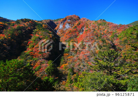 【徳島県】最盛期の高の瀬峡の紅葉 96125871