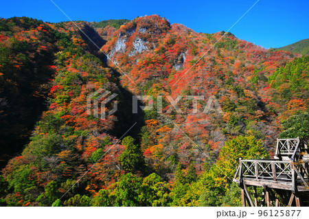 【徳島県】最盛期の高の瀬峡の紅葉 96125877