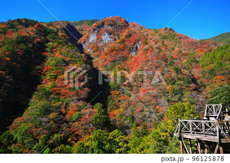 【徳島県】最盛期の高の瀬峡の紅葉 96125878