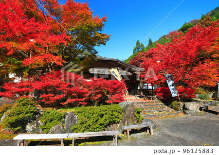 【徳島県】高ノ瀬峡レストハウス 平の里の紅葉 【徳島県】高ノ瀬峡レストハウス 平の里の紅葉 96125883