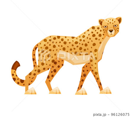 Standing Cheetah as African Large Cat with Long Tail and Black Spots on Coat Vector Illustration 96126075