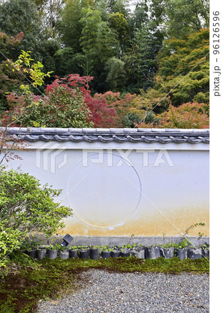 月真院（月眞院） 96126596