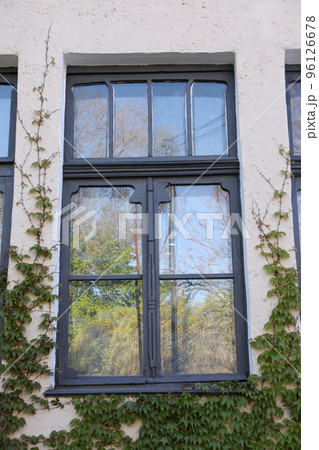 Window of old house with plants outdoor 96126678