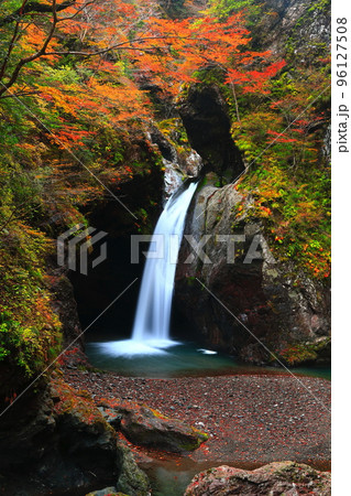 【徳島県】最盛期の大釜の滝の紅葉 【徳島県】最盛期の大釜の滝の紅葉 96127508