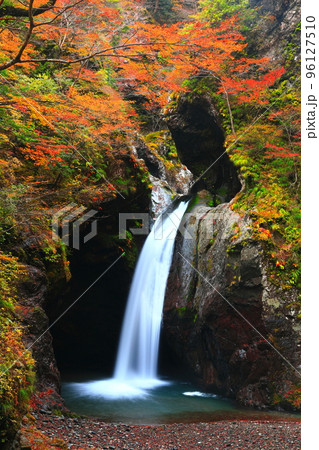 【徳島県】最盛期の大釜の滝の紅葉 96127510