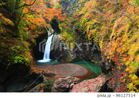 【徳島県】最盛期の大釜の滝の紅葉 96127514