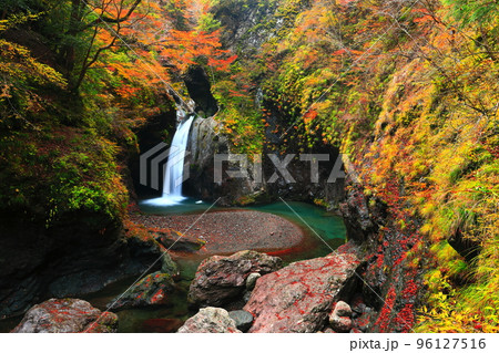【徳島県】最盛期の大釜の滝の紅葉 96127516