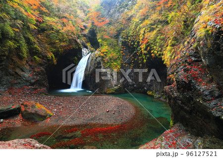 【徳島県】最盛期の大釜の滝の紅葉 【徳島県】最盛期の大釜の滝の紅葉 96127521