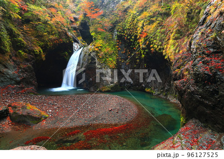 【徳島県】最盛期の大釜の滝の紅葉 96127525