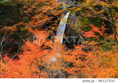 【徳島県】最盛期の大釜の滝の紅葉 【徳島県】最盛期の大釜の滝の紅葉 96127532